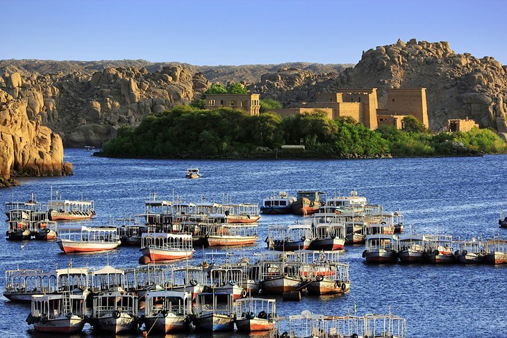 Best Over Day Tour Luxor From 30$ - Trip Light Tours 2022