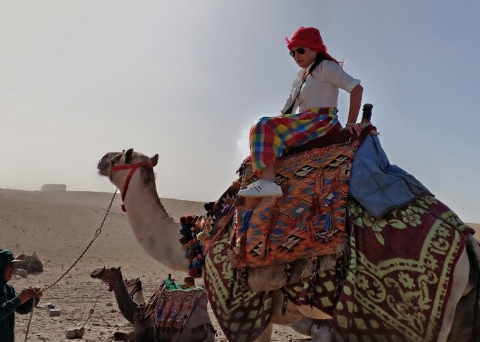 Cool Camel Safari In Sharm El Shiekh $25 - Trip Light Tours
